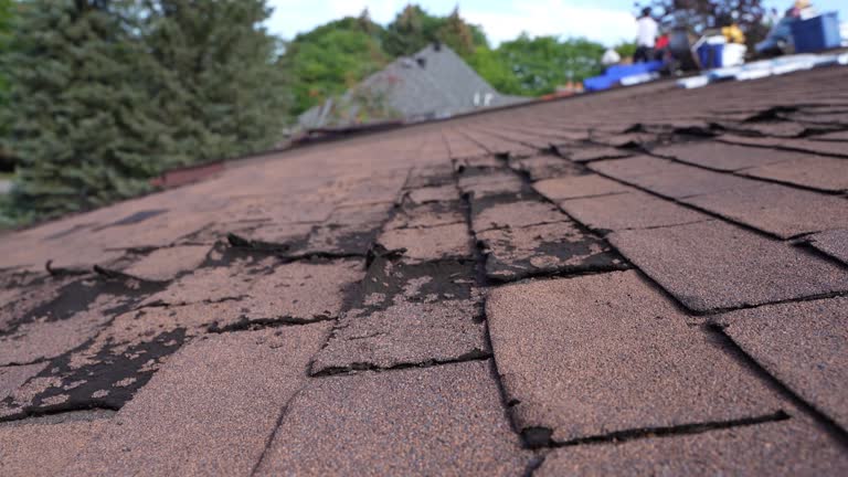 Best Chimney Flashing Repair  in Jones Valley, CA