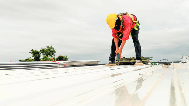 Best Skylight Installation and Repair  in Jones Valley, CA