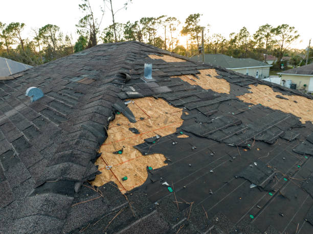 Best Solar Panel Roofing Installation  in Jones Valley, CA